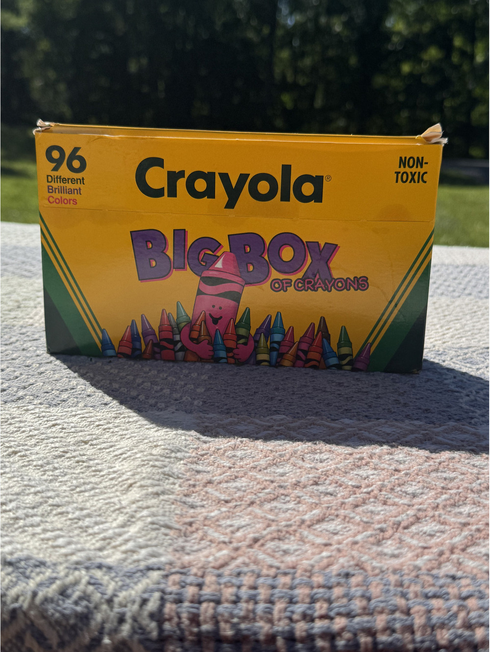Crayola Big Box of 96 Crayons Vintage 1994 Non-Toxic - retired colors